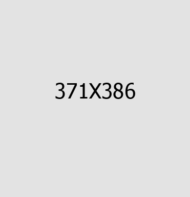 portfolio details