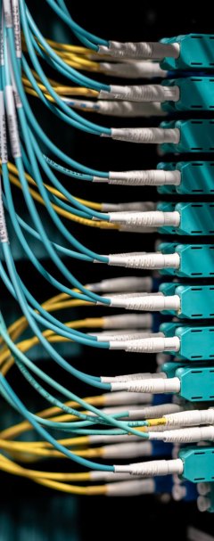 Cloud & <br> Networking