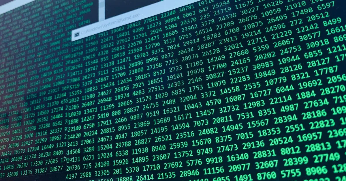 Ransomware Recovery CEO Accused of Hiding Millions in Secret Payments